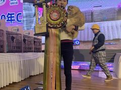 -青奢宠物·青奢猫舍