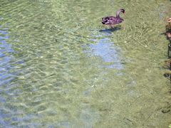 -水磨沟公园