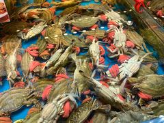 -必点海鲜·鲅鱼水饺(鞍山西道店)