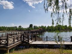 -野鸭湖国家湿地公园