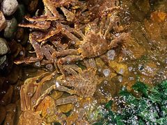 -綱元·海鲜豆捞(明州里店)