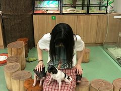 -藦茜花园宠物主题亲子互动体验馆(国顺东路店)