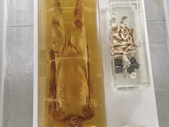 -荆州博物馆