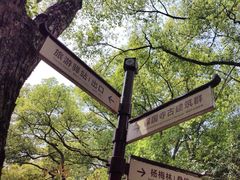 -宁波市保国寺古建筑博物馆