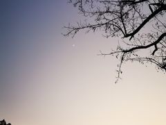 -南京市无想山景区