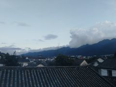 -喵屿·大理花园猫咖