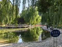 -丰台科技园生态主题公园