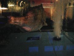 -阿伟海鲜楼·福建菜(延寿店)