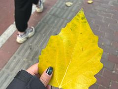 -茶百道(惠新东街店)