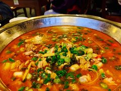 -老号尤兔头(幸福店)