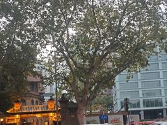 -马勒别墅·中餐厅