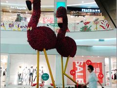 -凯德广场(学府店)