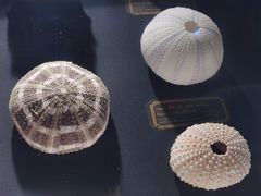 -浙江自然博物院(杭州馆)