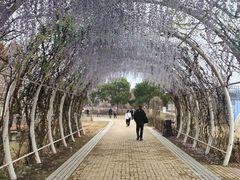 -同里国家湿地公园