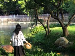 -人民公园(罗湖区)