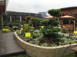 -梦田都市农场(银泰城店)