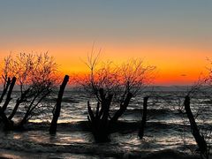 -捞渔河湿地公园