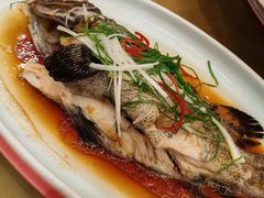 -津悦·正阳春烤鸭(红旗南路店)