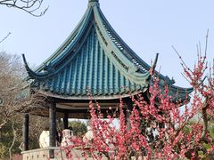 -无锡梅园公园