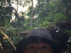-西双版纳原始森林公园