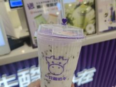 -一只酸奶牛(来福士店)