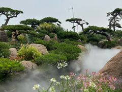 -罗红摄影艺术馆