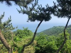 -棒棰岛宾馆景区