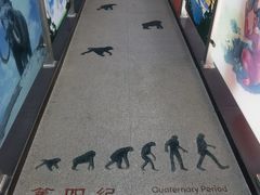 -中国第四纪冰川遗迹陈列馆