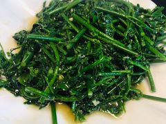 -翡翠老鸭店