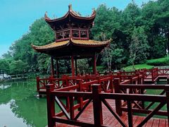 -铁山坪森林公园