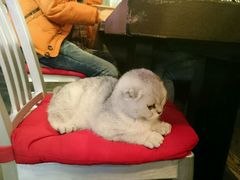 android_upload_pic-MIKAKU(万达广场上海宝山店)