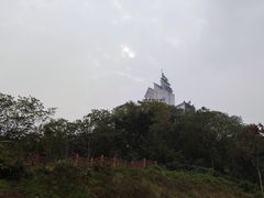 -大渡口区义渡公园