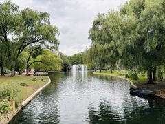 -上海共青森林公园