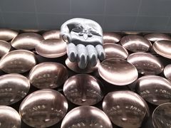 -英迪拉·甘地国际机场