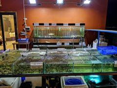 -国际金钻海鲜餐厅