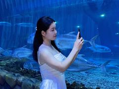 -华夏文旅西安度假区