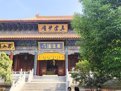 -西安大兴善寺