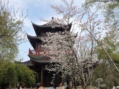 -堤角公园