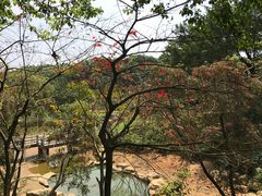 -广州市帽峰山景区