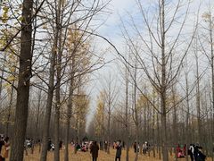 -汉景帝阳陵博物院