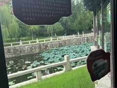 -水绘园