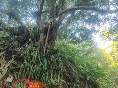 -飞霞风景名胜区