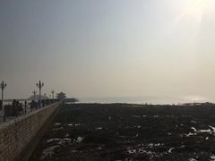 -九龙餐厅(大沽路店)