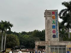 -天河儿童公园