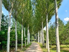 -森林公园(尖草坪区)