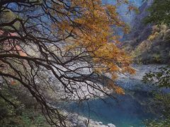-叠溪松坪沟景区