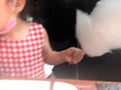 棉花糖-汉巴味德(大悦城店)