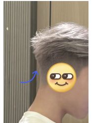 -FASHION PALACE hair+