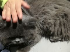 -小时光咖啡馆(开森度假森林店)