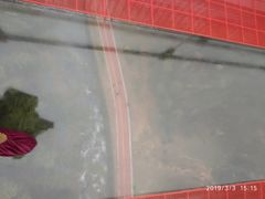 -梅岭月亮湾山体公园